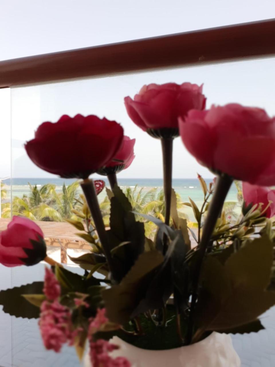Aquastar By Rt Vacation Rentals Mahahual Dış mekan fotoğraf